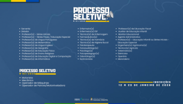 PROCESSOS SELETIVOS SIMPLIFICADOS
