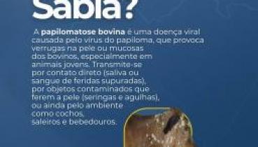 PAPILOMATOSE BOVINA (VERRUGAS)