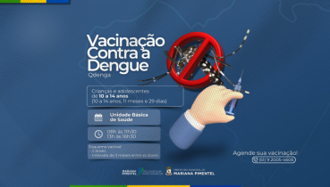 Vacina��o contra a Dengue � Qdenga