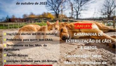 Castração de animais mobiliza campanha no começo de outubro em Mariana Pimentel